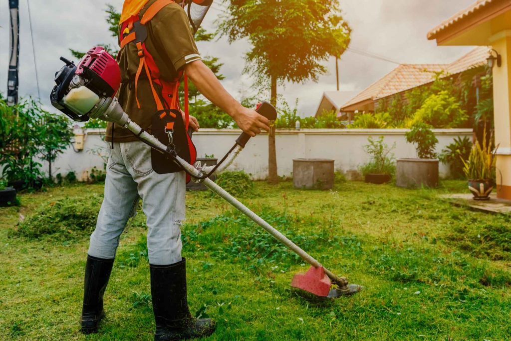 Grass Trimming