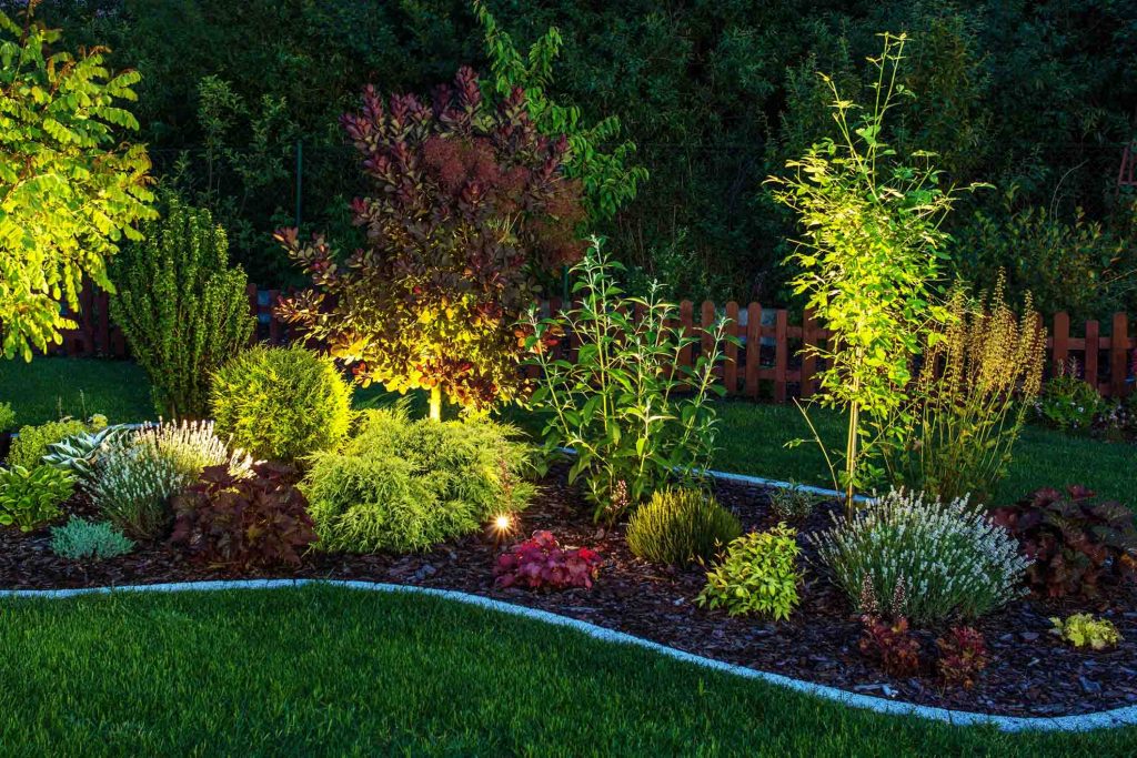 Landscape Designer